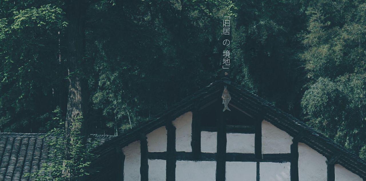 刺客信条：大革命
