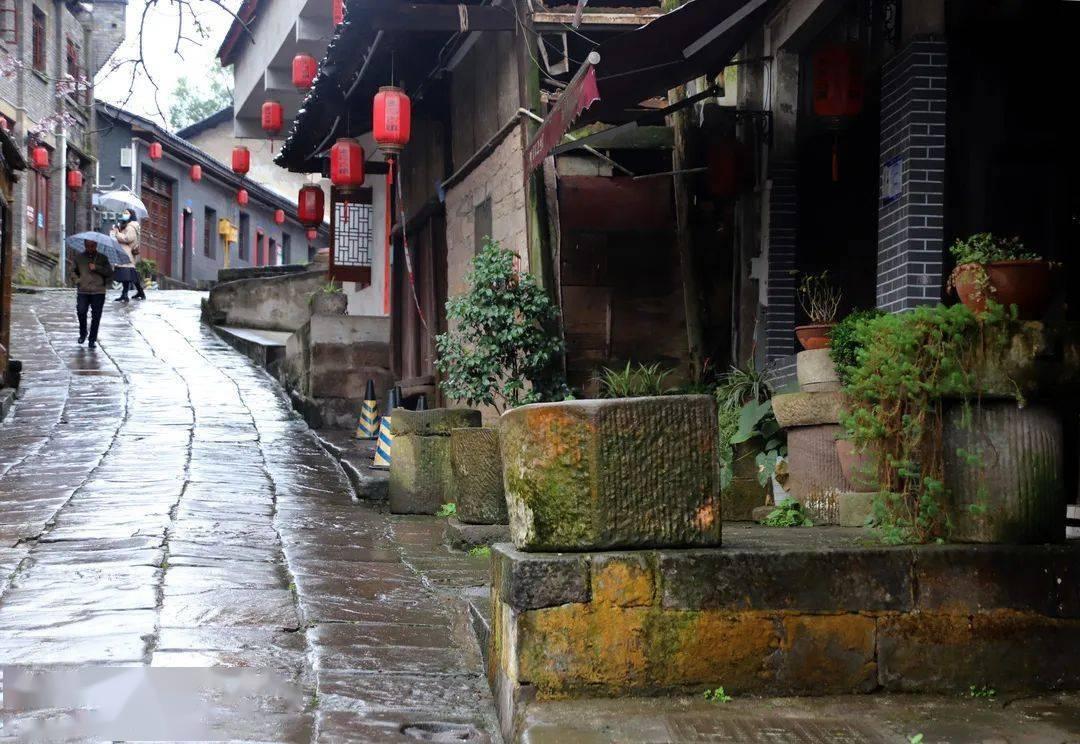 迷失在荒野